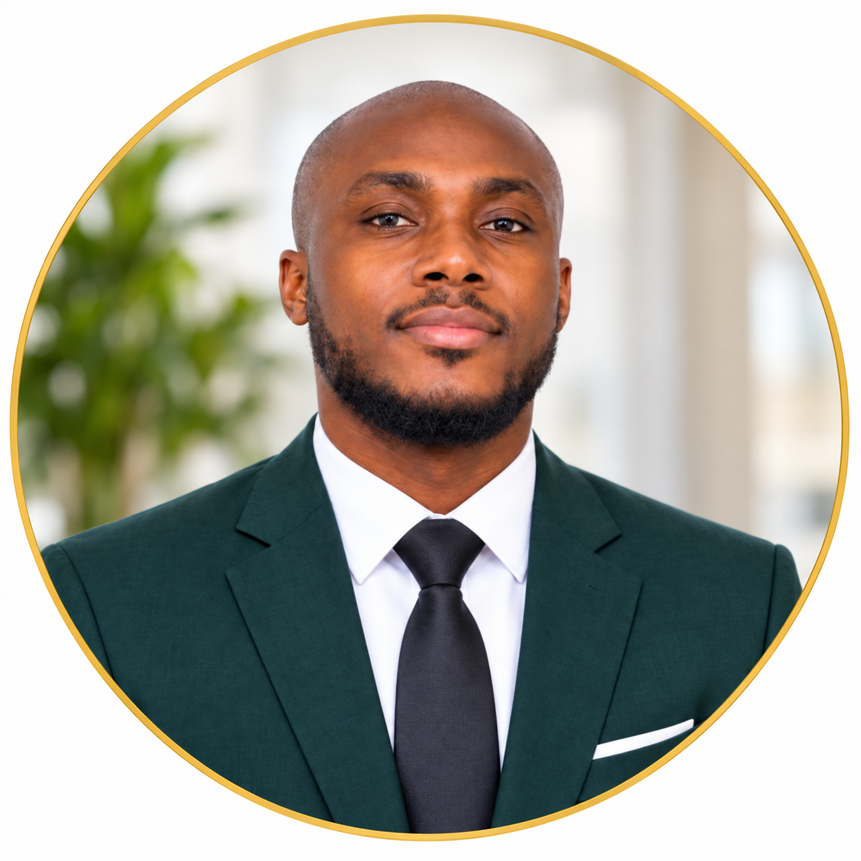 Fabrice Loua GUÉI — Vice President / Vice-Chair